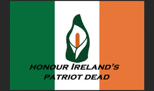 Irish Republican flag