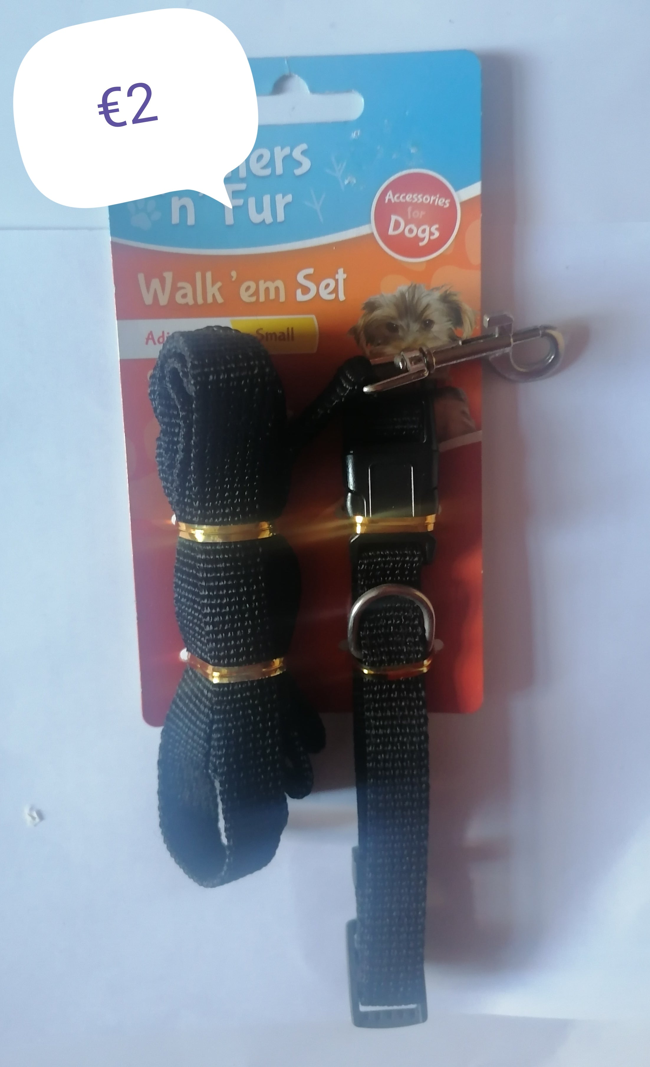 dog lead and collar