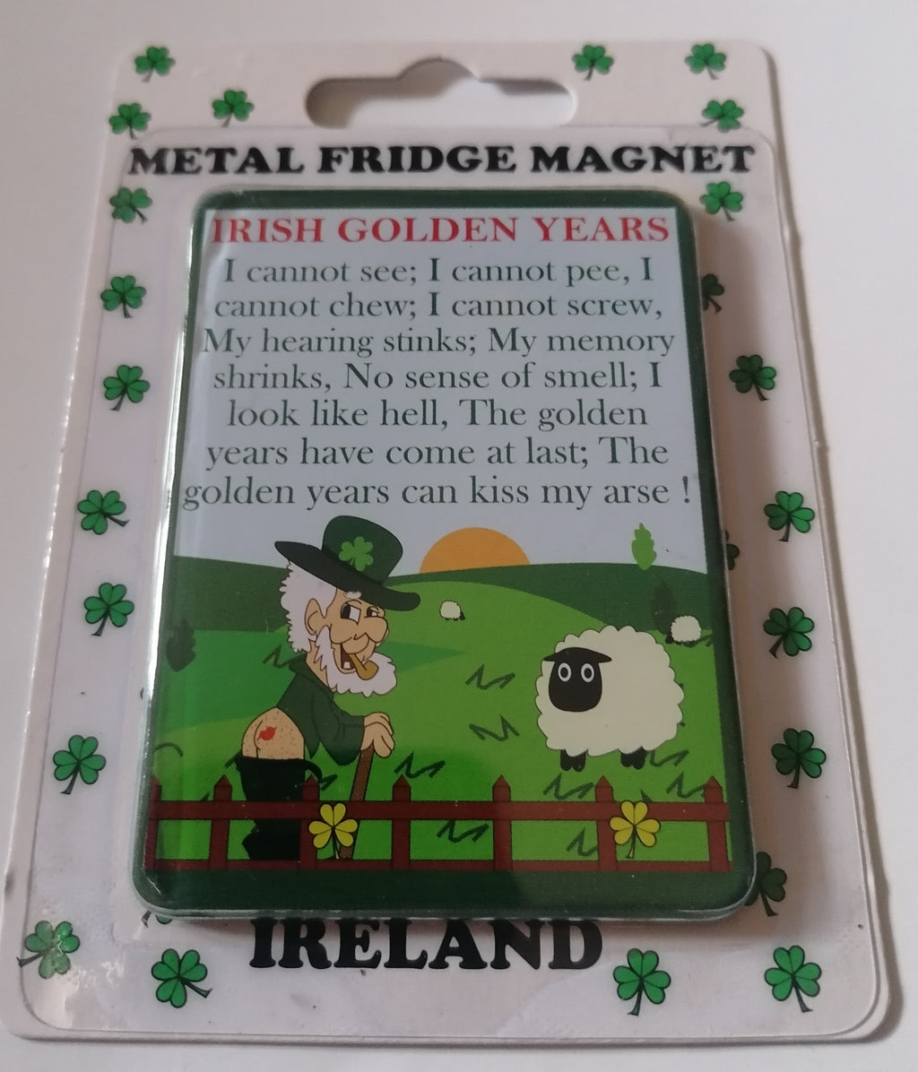 novelty irish fridge magnet