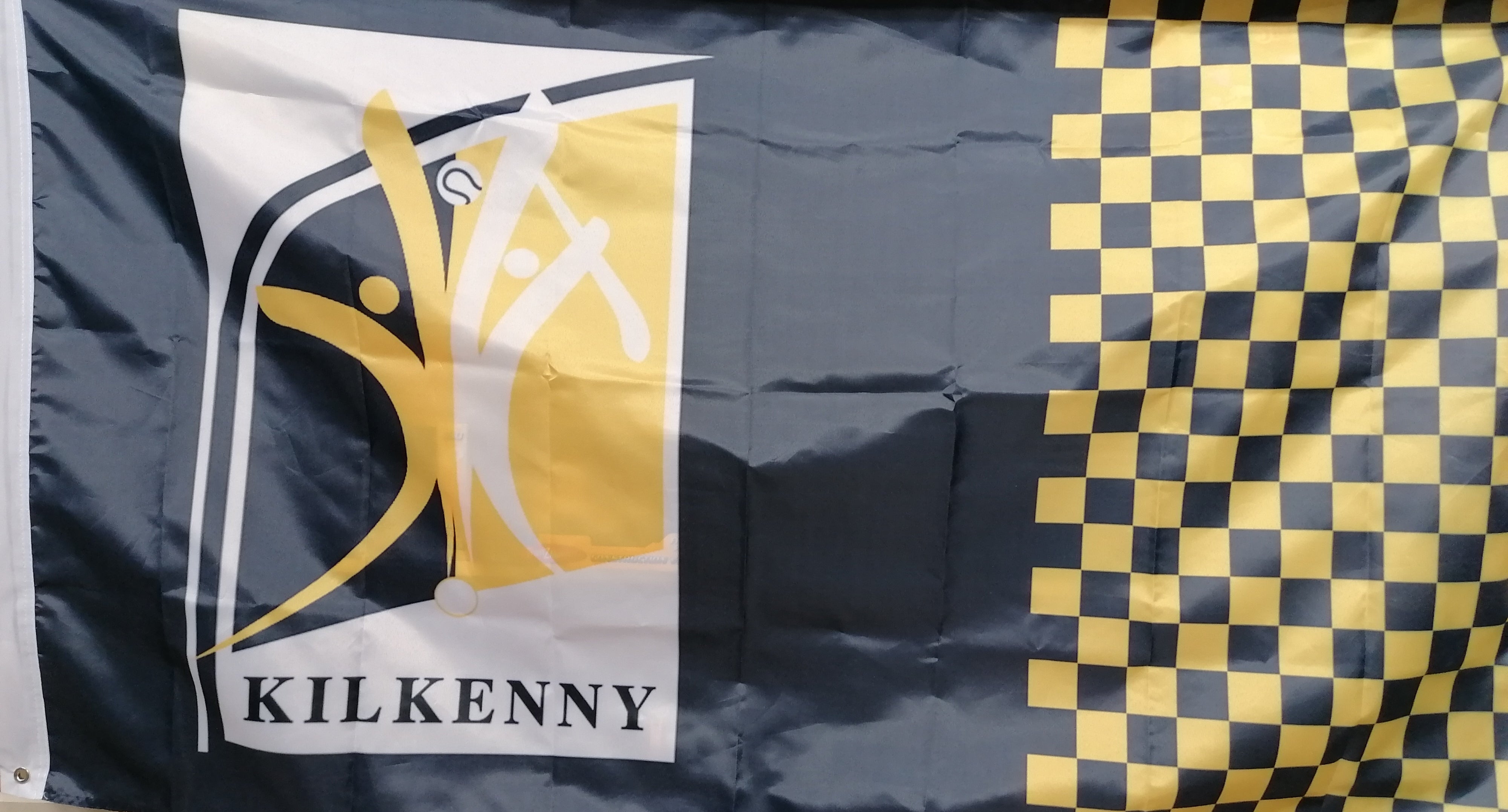 Kilkenny flag