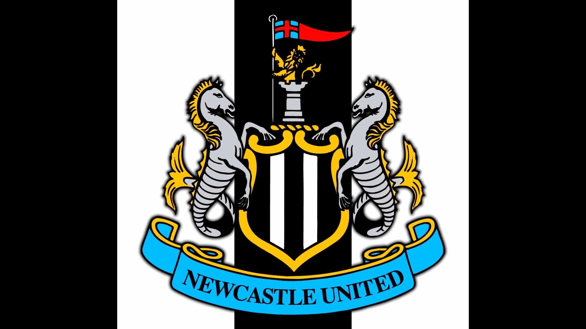 Newcastle United Football flag. – Price Busters Ballina