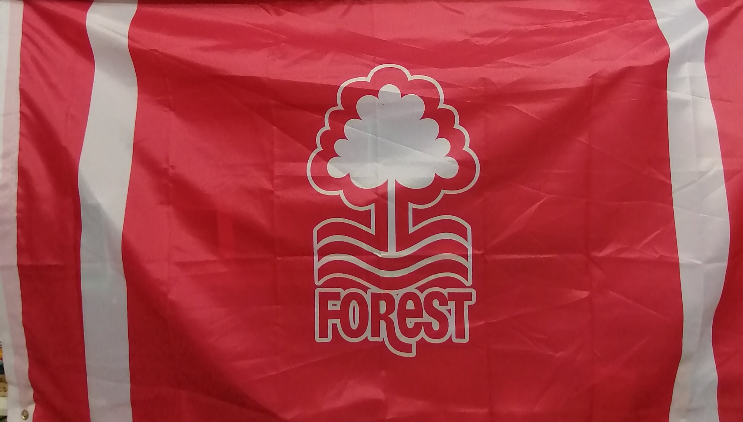 Nottingham Forest flag