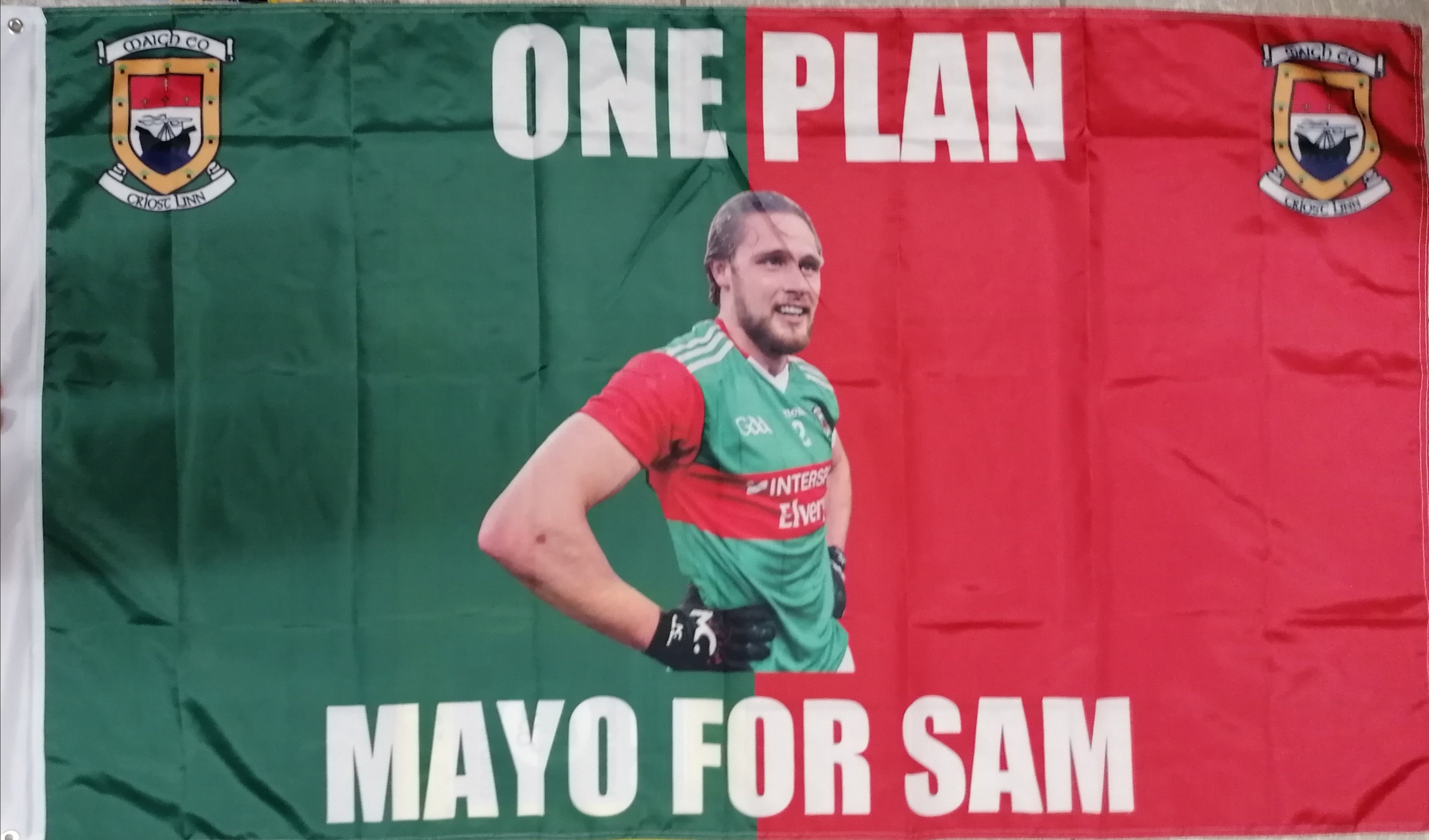 Mayo flag