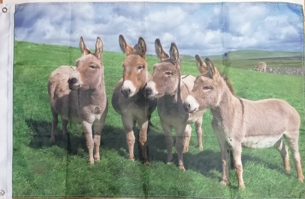 donkey flag