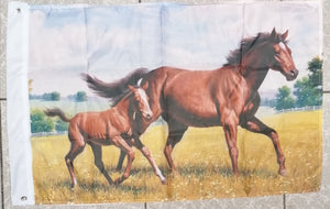 horse and pony flag