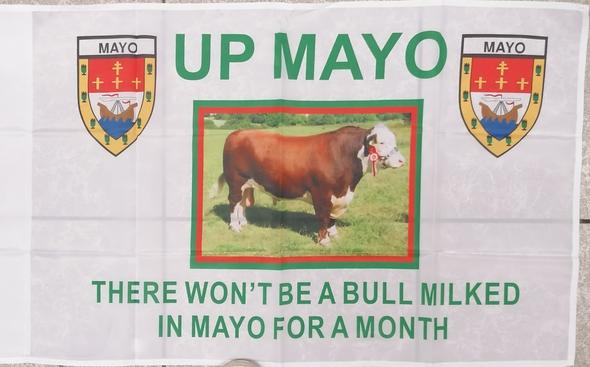 mayo bull flag