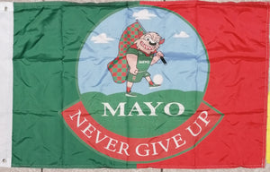 mayo flag