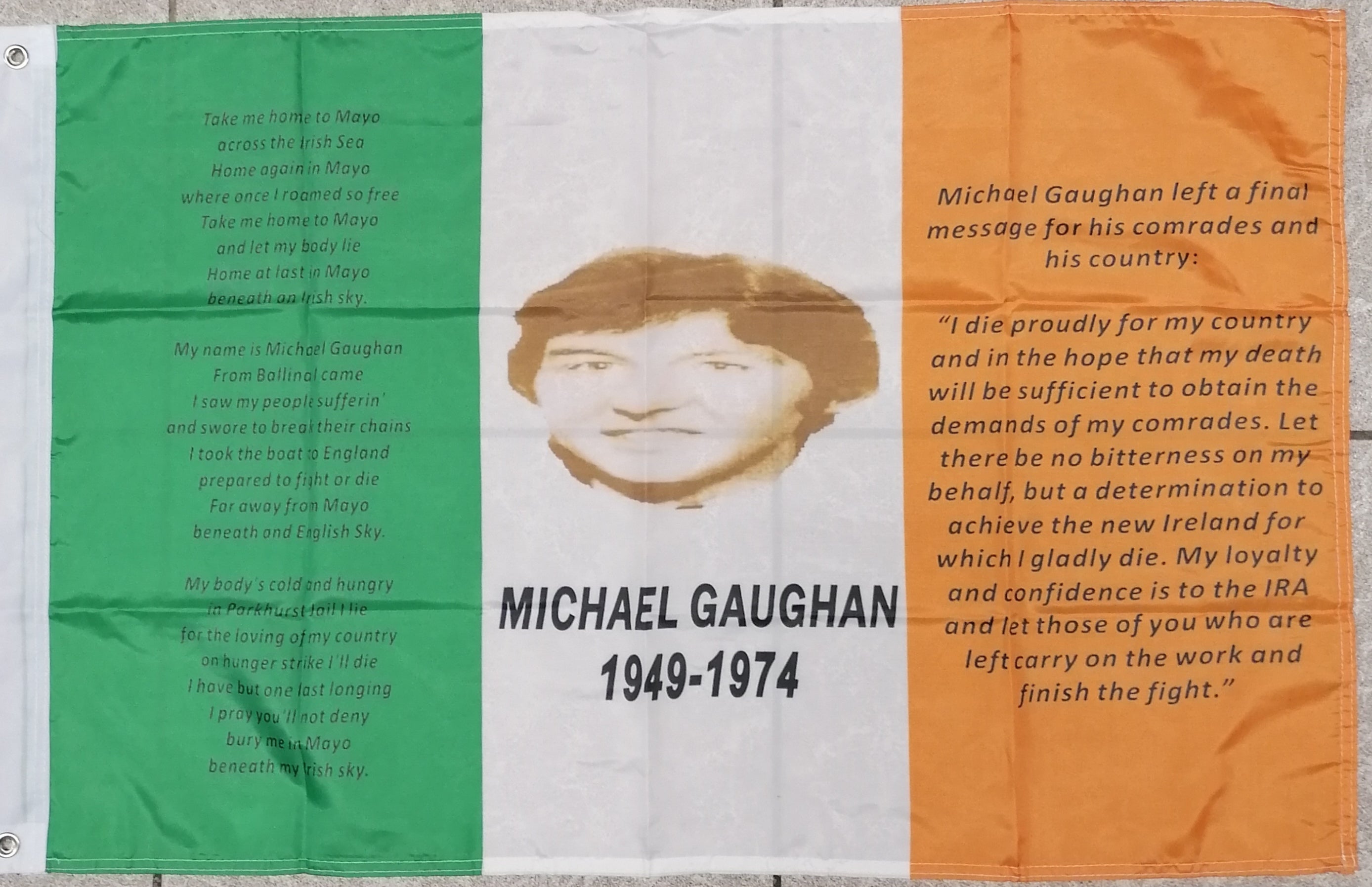 michael gaughan flag