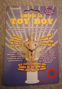 novelty grow a toy boy