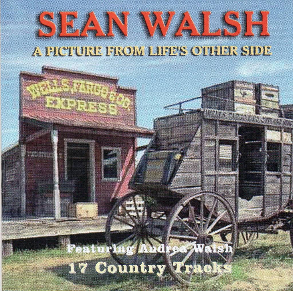 sean walsh a picture from life's other side music cd.