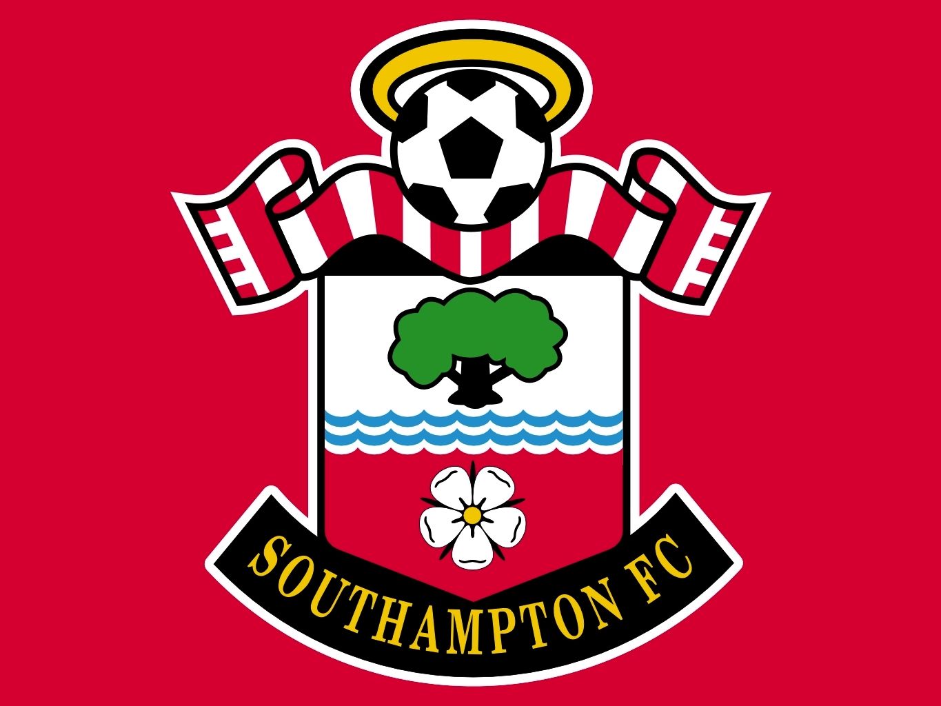 Southampton flag