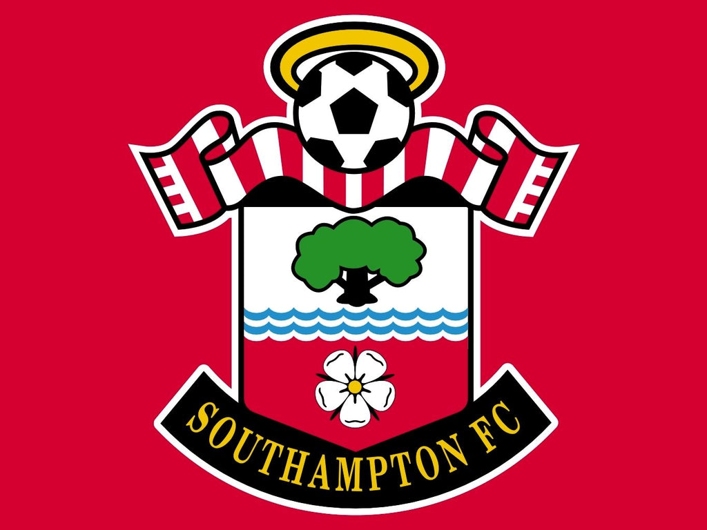 Southampton flag