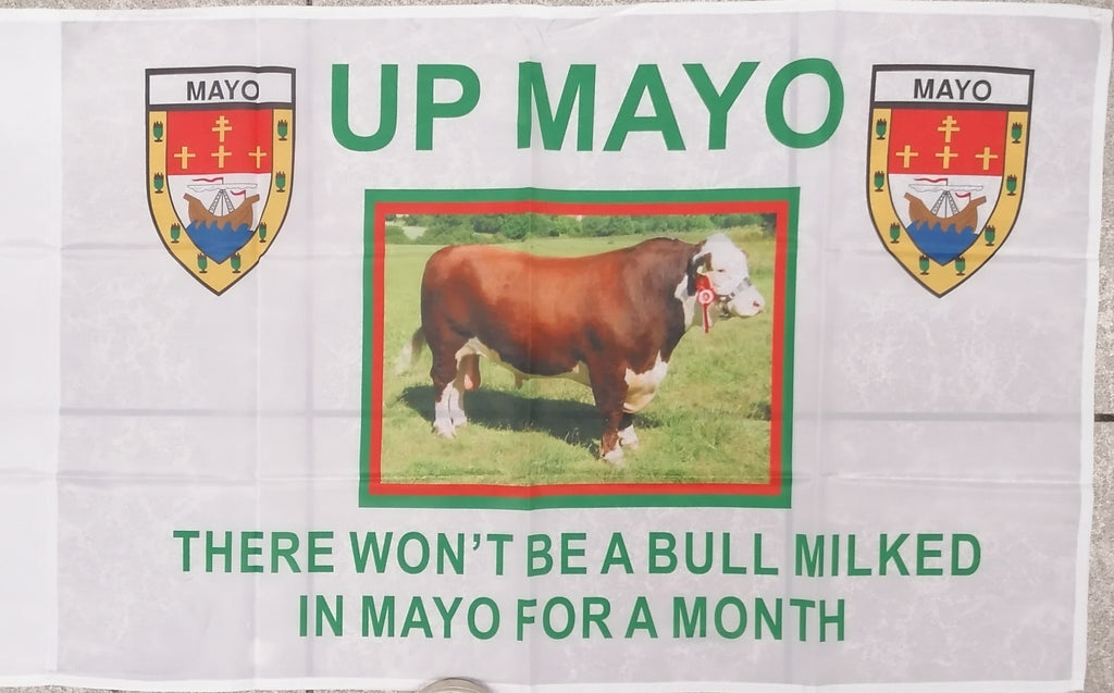 mayo flag